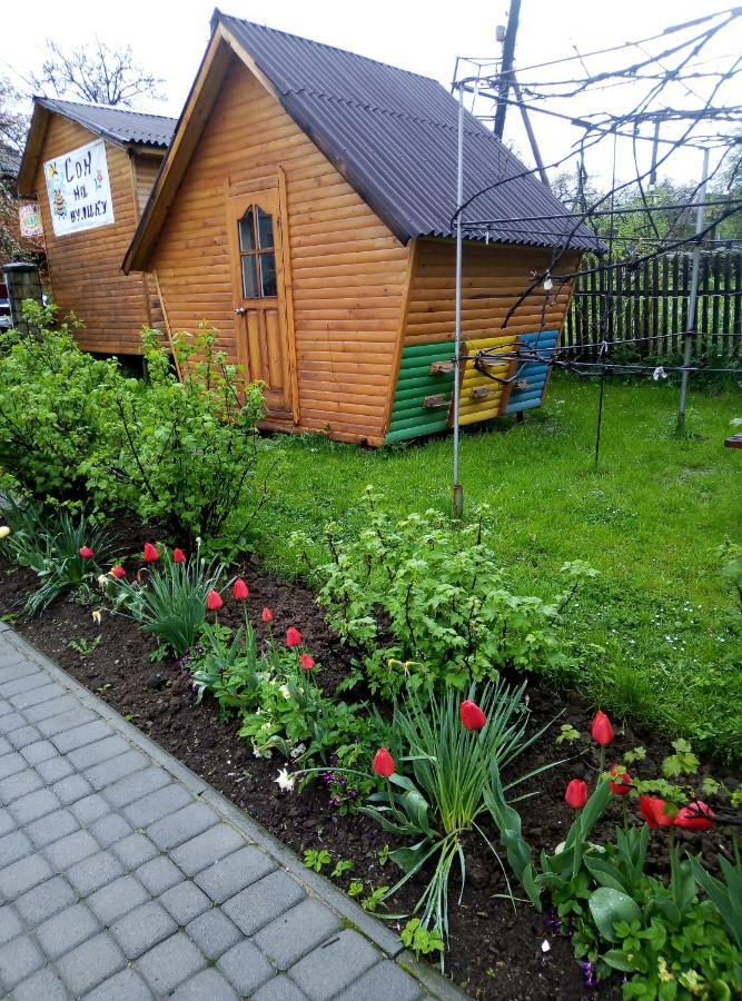 "У Пасічника" Котедж Для Сім'Ї Yaremche Ngoại thất bức ảnh